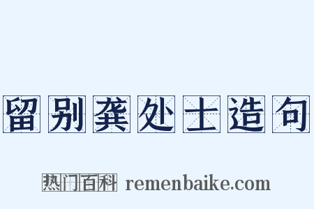 留别龚处士造句是什么意思的图片